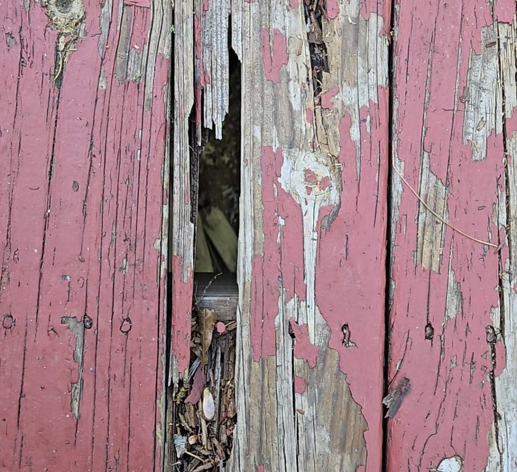 Rotten wood decking